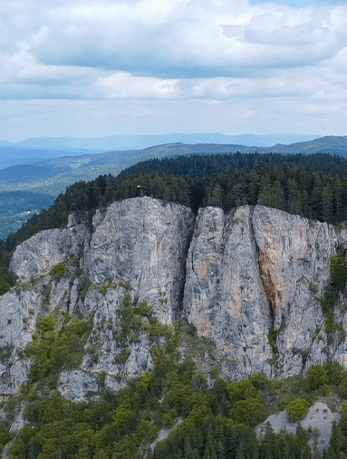 Priroda na Wild Srbija TV