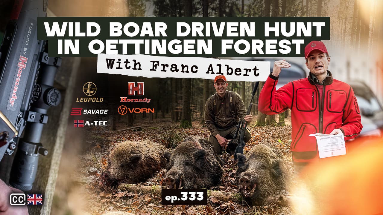Wild Boar DRIVEN hunt in Oettingen Forest| with Franc Albert/Pogonski lov na Divlje Svinje E333