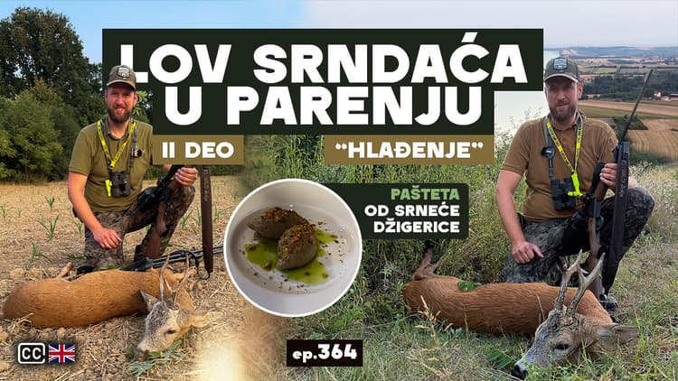 Lov Srndaća u Parenju/Roebuck in Rut hunt "Cooling down"pt. 2 ep.364