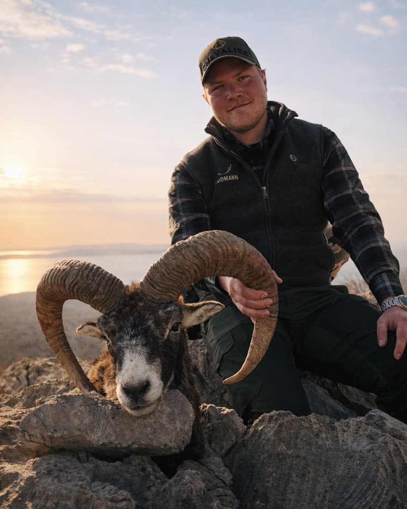 Lov Muflona - Hrvatska (primorje) - No Limit