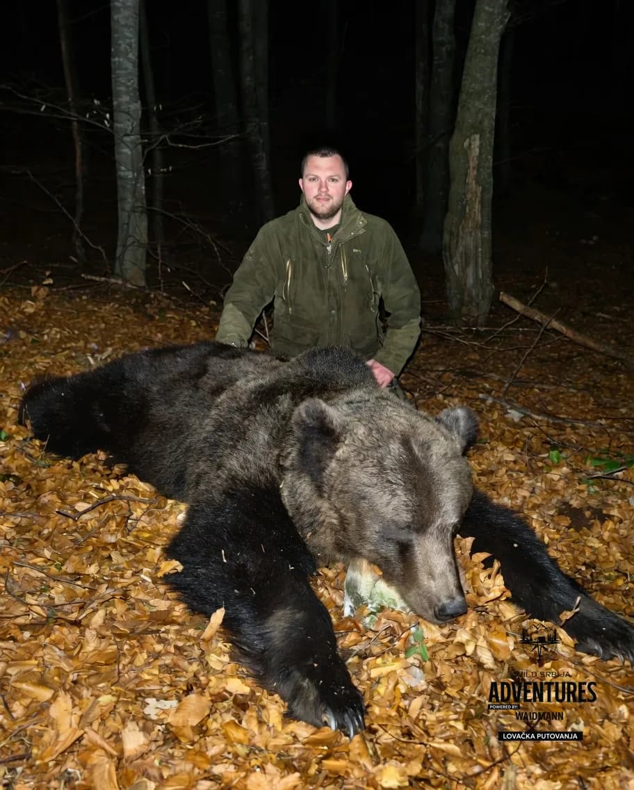 Lov Medveda čekanjem sa toplih čeka (All inclusive) - nonexportable trophy