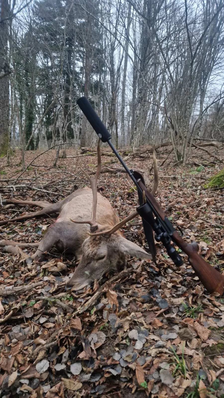 Lov Evropskog Jelena - Slovenija - Selekcija - All inclusive