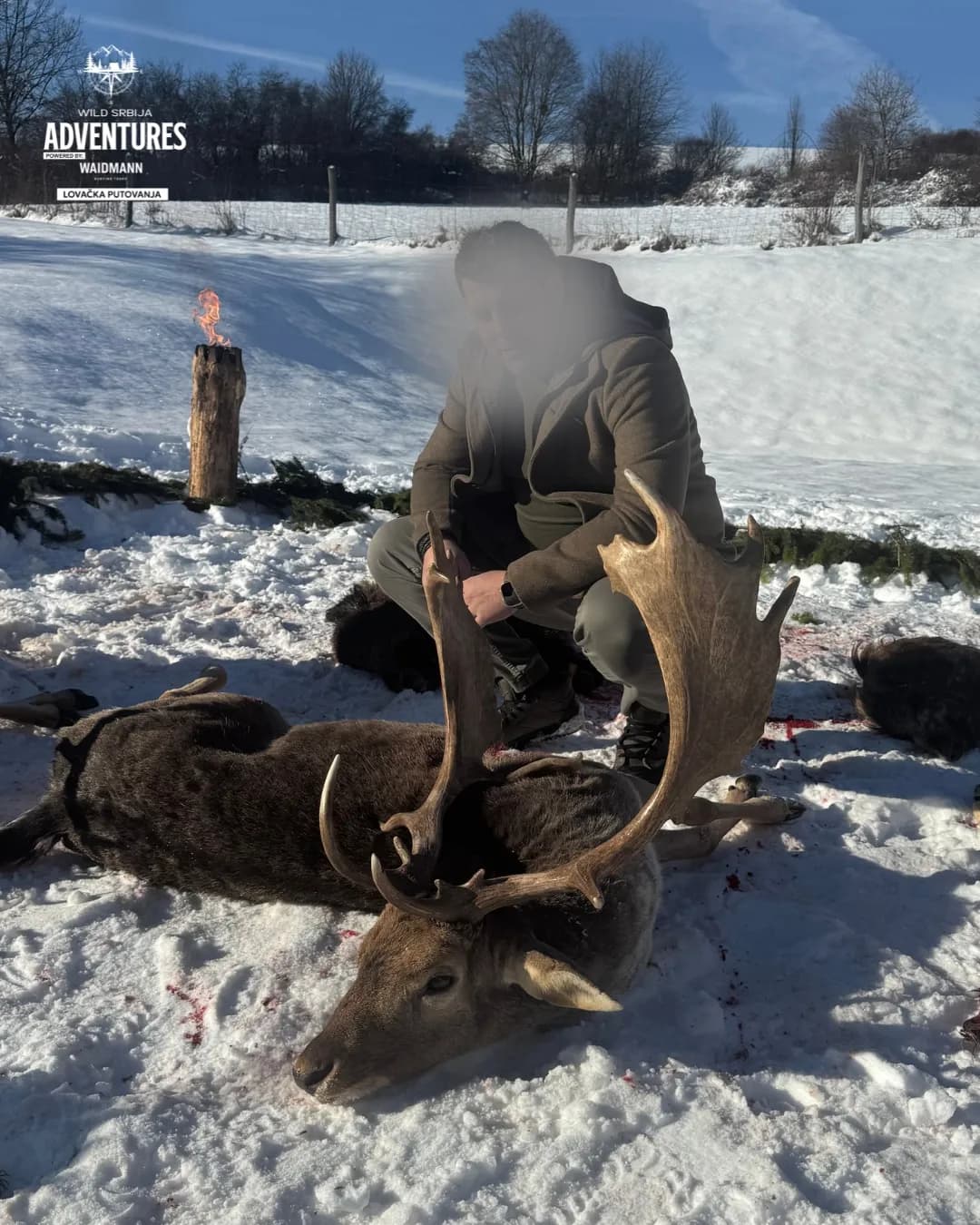 Selektivni lov Jelena lopatara - do 3 kg tezine 8