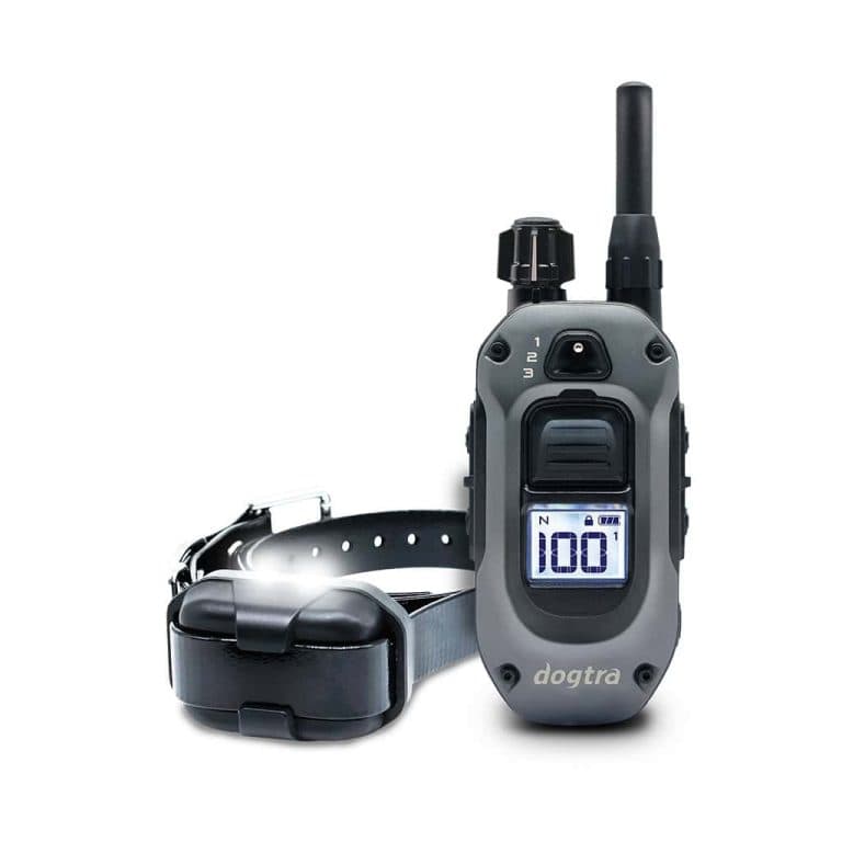 DOGTRA 640X – 600m 171399