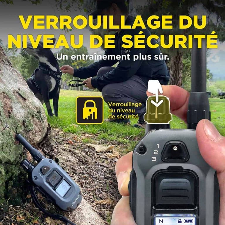 DOGTRA 640X – 600m 171399 3