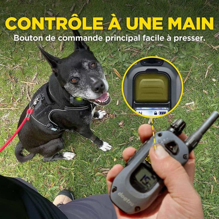 DOGTRA 640X – 600m 171399 4