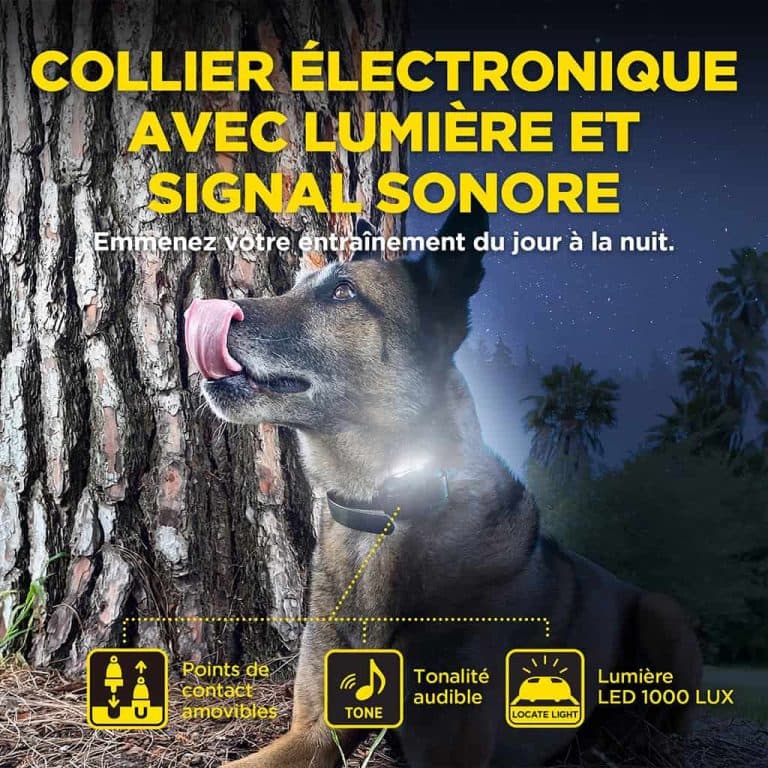 DOGTRA 640X – 600m 171399 5