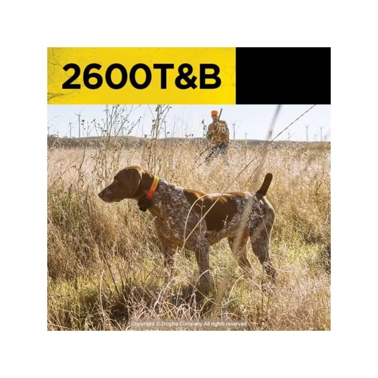 Ogrlica za dresuru i Biper Dogtra 2600T&B 5