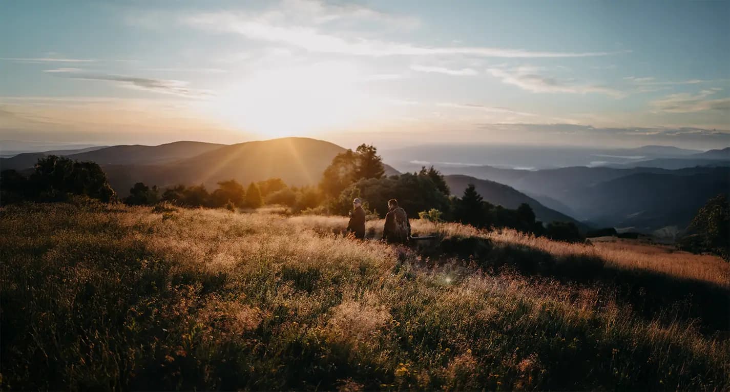 Nature landscape