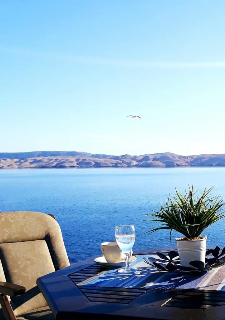 Lov Muflona - Hrvatska (primorje) - No Limit 8